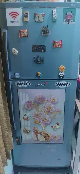 Kulkas LG 2 Pintu