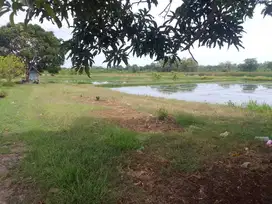 Dijual Murah Tanah Ujung Pangkah Gresik