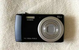 Camera Casio QV R200