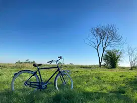 City Bike - Union Flow (Belanda)