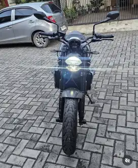 Triumph Trident 2022