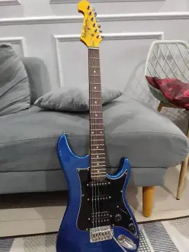 Washburn Sonamaster S2HMBL-A
