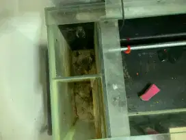 AQUARIUM CIBUBUR JAKARTA TIMUR