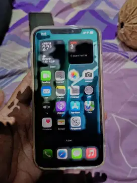 iPhone Xs Max 256Gb Beacukai