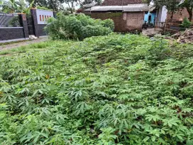 Tanah dijual strategis dekat kampus