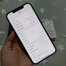 Iphone 12 Pro Max 256GB Fullset Mulus