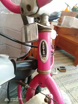 Sepeda anak cewe  schwinn 20 inch