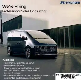 Sales Consultant Hyundai