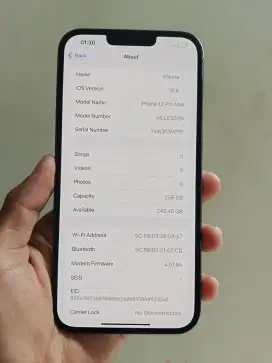 iPhone 13 Promax, 256Gb, Inter (Resmi Beacukai)
