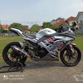 Ninja 250fi Low Kilometer