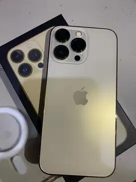 Iphone 13 pro gold inter LL/A