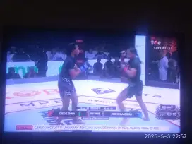 Di jual Tv panasonic+stb normal jaya