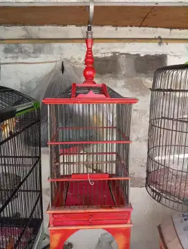 Sangkar Bekas Pleci Untuk Burung Kecil