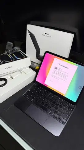 Ipad Pro M4 256GB ExInter 11' Wifi Only + Apple Magic Keyboard