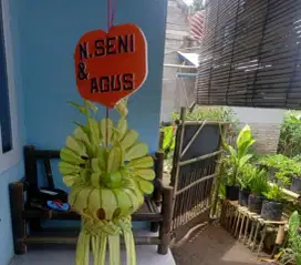 Jual janur khitanan dan pernikahan