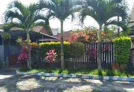 Rumah murah siap huni kawasan bunga2 suhat lt 236 m2