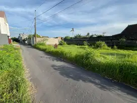 400 JUTAAN: Tanah Kota Dalam Ringroad, Jl Jambon Trihanggo Jogja