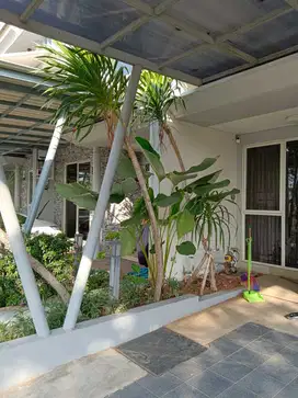 Disewakan Rumah Bagus Siap Huni Di Cluster Missisipi JGC  Jakartat