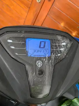 Freego biru 2019