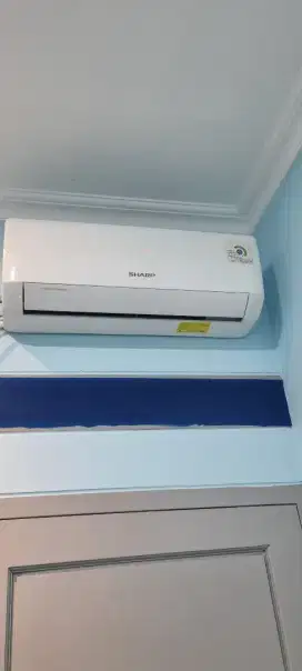 AC Sharp 0.5 PK