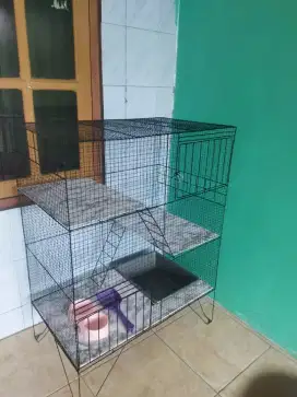 READY(kandang kucing baru)