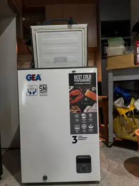 Gea Freezer 100L