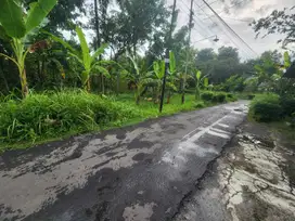 JUAL TANAH DI MARGOSARI PENGASIH KULONPROGO