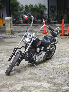 HARLEY DAVIDSON SOFTAIL STANDARD (CUSTOM)