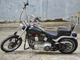 HARLEY DAVIDSON SOFTAIL STANDARD (CUSTOM)