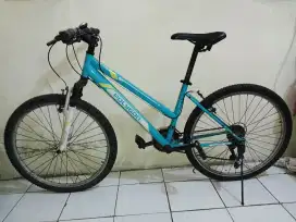 MTB Polygon Monarch 2 Ladies Tosca Green