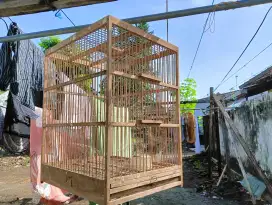 Kandang Burung Kenari