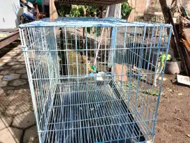 Kandang Kucing Besar