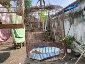 Kandang Murai Bekas