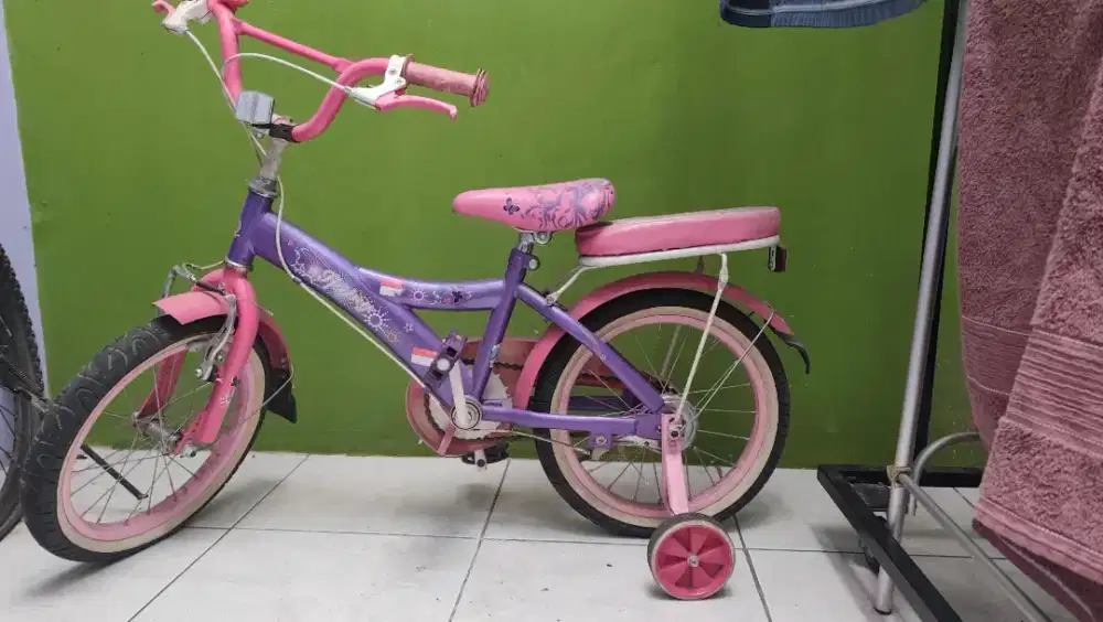 Sepede Anak Warna Pink