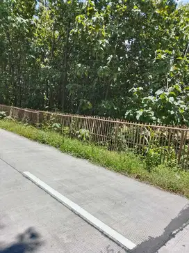 dijual tanah murah cocok untuk perumahan atau kandang 250rb