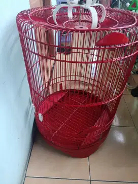 Di jual kandang muray baru 1 bulan