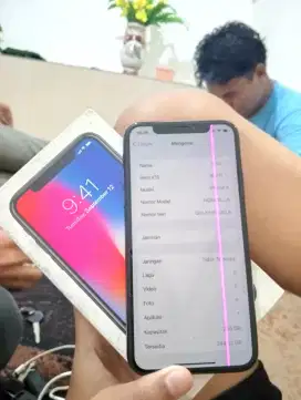 iPhone X256 GB INTER