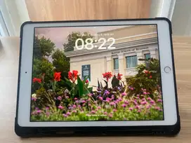 Jual IPad Gen 7 32GB Wifi Only White Bekas