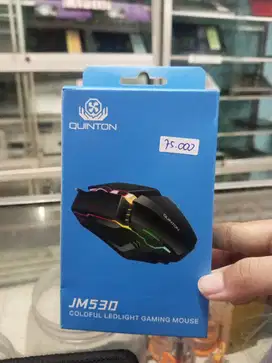 MOUSE QUINTON D3