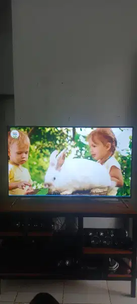 LED smart tv 50 inch Polytron