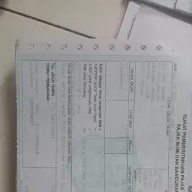 MAU DIJUAL RUMAH HALAMAN LUAS