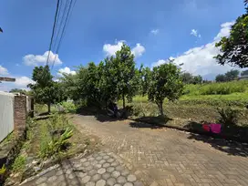 Investasi Emas! Tanah Malang Dekat 2 Kampus Besar