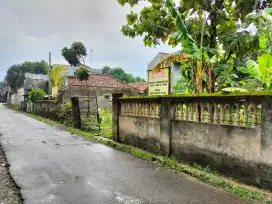 tanah 1740 meter persegi ada bangunan bekas sarang walet
