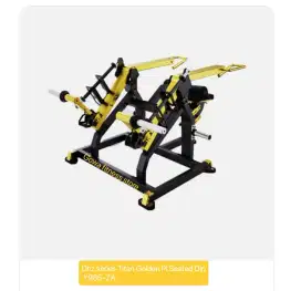 Alat Gym Fitness Dhz series Titan Golden Pl Seated Dip Y965-ZA