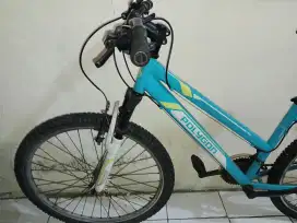 Sepeda Gunung Polygon