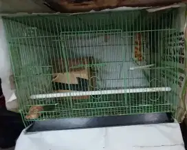 Kandang kotak besi 60x40cm