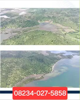 Tanah 118 Hektar area Lape Sumbawa Nusa Tenggara Barat