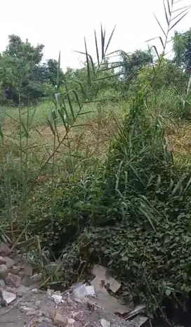 Tanah Murah Wonorejo Surabaya