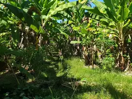 Tanah los sungai full view laut, cocok untuk villa atau investasi