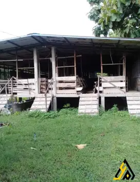 Dijual cepat tanah zona kuning lokasi sragen luas 7403m!